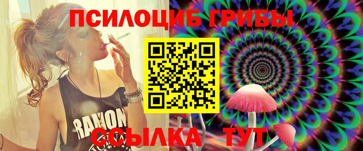 Псилоцибиновые грибы Psilocybine cubensis Реутов